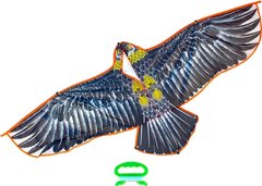 Воздушный змей Play tive Hawks(4812501162318)
