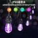 Уличная гирлянда с ретро лампами LED RGB Edison 10шт 220V 10метров с переходником SunLamp