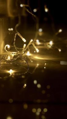 Светодиодная гирлянда Ночник нить силикон 2м 20led батарейки АА