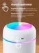 Портативный светодиодный ультразвуковой увлажнитель воздуха Humidifier H2O 300 мл Серый
