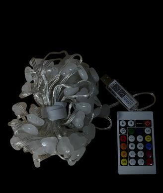 Гирлянда Умная светодиодная Dream collor 33LED 5метров большие Сердечка MultiRGB USB управление от