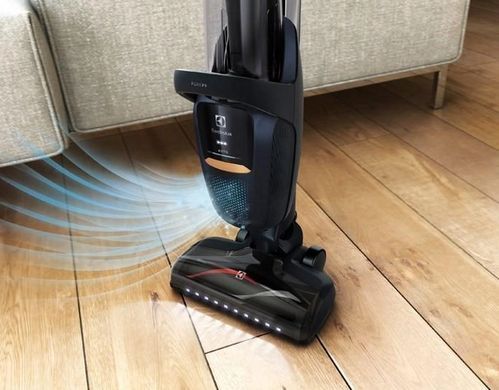 Акумуляторний пилосос Electrolux PURE F9 PF91-4ST