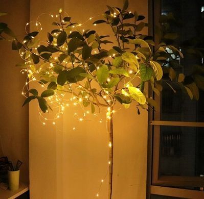 Светодиодная гирлянда Sun Lamp Капля Росы 100 LED, 10м теплый белый свет, батарейки 3 АА