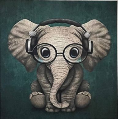 Алмазна мозаїка 30х40 см 5D an elephant in glasses