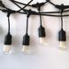 Вулична гірлянда з ретро лампами LED Edison 15шт, 24V, 10 метрів