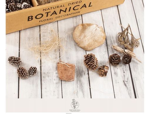 Набор декорационный Botanical Garden из натуральных сушеных растений