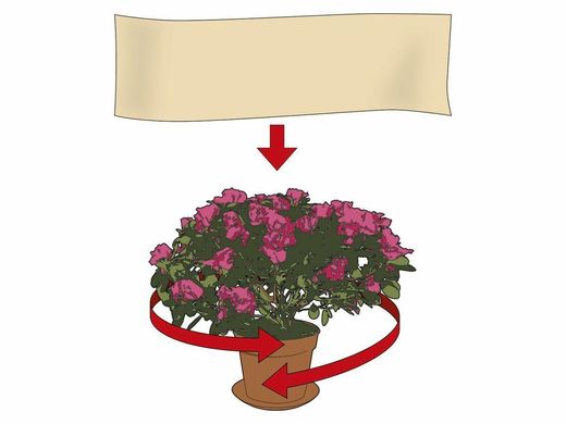 Фліс для захисту рослин Florabest від холоду та вітру 150 х 500 см бежевий