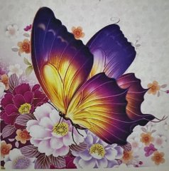 Алмазная мозаика 20х20 см 5D butterfly