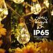 Вуличний та домашній LED світильник Sunlamp 8 м + 2 м, 20 ламп по 10 LED, 220V, IP65, тепле світло, 8 режимами