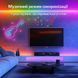 Розумна гнучка неонова світлодіодна стрічка Neon LED RGB-IC з Bluetooth USB і синхронізацією музики 5 метрів Водостійкий смарт гнучкий
