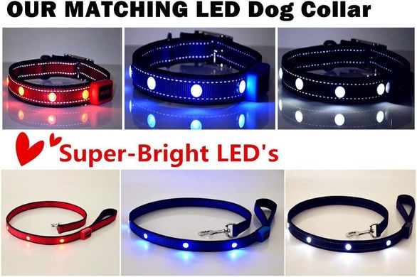 Безопасный поводок для собаки с подсветкой LED Fonpoo FP8002 blue сині