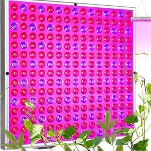 Фітолампа Gardlov 23525 з 225 LED-діодами - панель з червоним і синім спектром для росту рослин