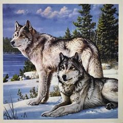 Діамантова мозаїка 30х30 см 5D Wolfs