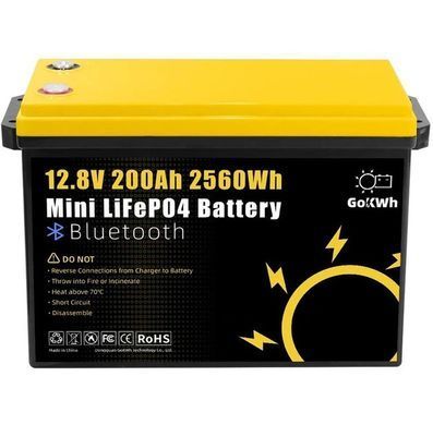 Акумулятор LiFePO4 GoKWh 12,8V 200Ah з BMS та Bluetooth 5.0, літій-залізо-фосфатна батарея для інвертора, ДБЖ, сонячних систем