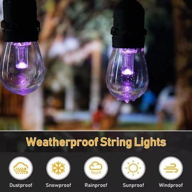 Вулична гірлянда з ретро лампами LED RGB Edison 10шт, 220V, 10метрів з перехідником