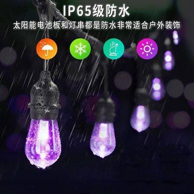Вулична гірлянда з ретро лампами LED RGB Edison 10шт, 220V, 10метрів з перехідником