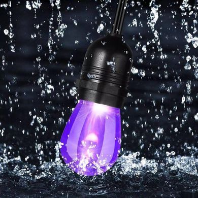 Вулична гірлянда з ретро лампами LED RGB Edison 10шт, 220V, 10метрів з перехідником