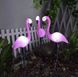 Садовый солнечный светильник-фламинго Gardlov 21151, 3 LED фигуры, белый свет, IP44, 52 см