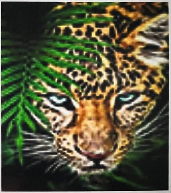 Мозаика алмазная 50х65 см 5D Tiger