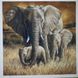Діамантова мозаїка 30х30 см 5D Elephants