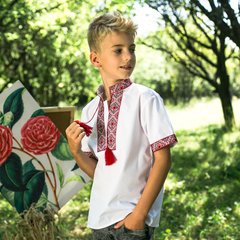 Вышиванка Moderika Остап короткий рукав с красной вышивкой