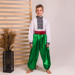 Украинский костюм Moderika Настоящий Козак в зеленом цвете