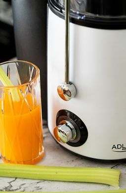 Соковижималка 1000 Вт Adler AD 4128 ємність для м'якоті 2л