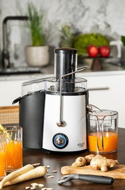 Соковижималка 1000 Вт Adler AD 4128 ємність для м'якоті 2л